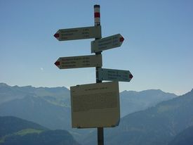 Schild