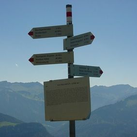 Schild