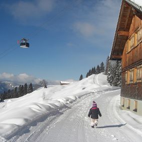 Almhütte Winter