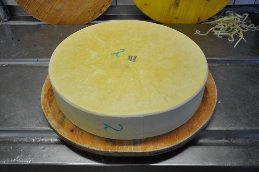 Frischer Alpkäse