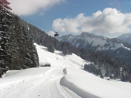 Winterlandschaft