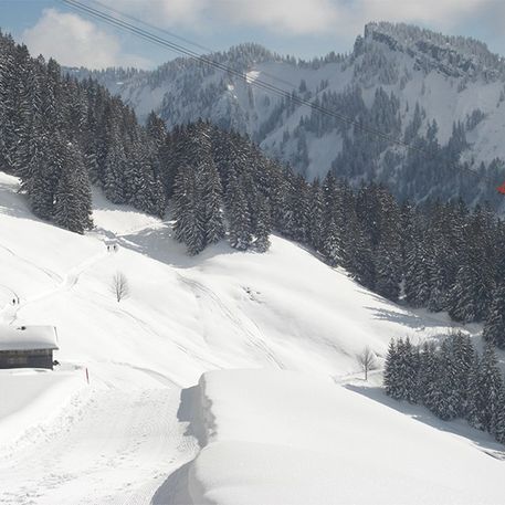 Winterlandschaft