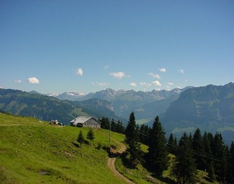 Natur