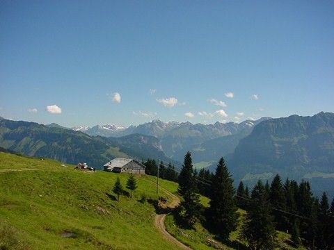 Natur