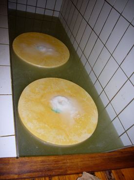 Frischer Alpkäse