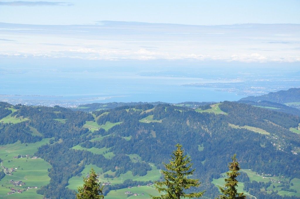 Ausblick