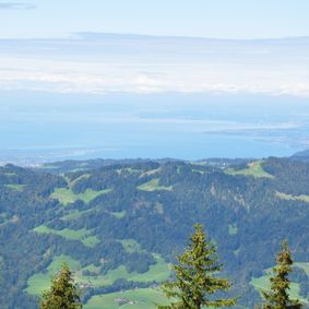 Ausblick